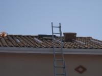 DSCN0610.JPG