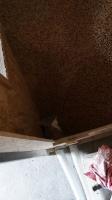 IMG_20170210_145919.jpg IMG_20170210_145919.jpg